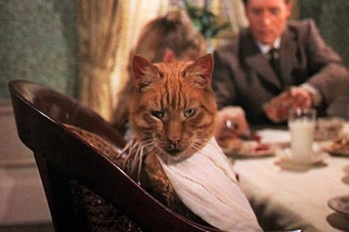 tumblr_n8dbeyoYmL1r2imw6o1_500