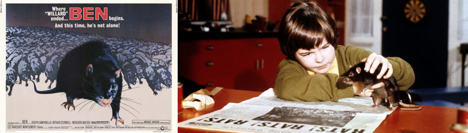 imgonline-com-ua-twotoone-hHdJsjgaRO9R9